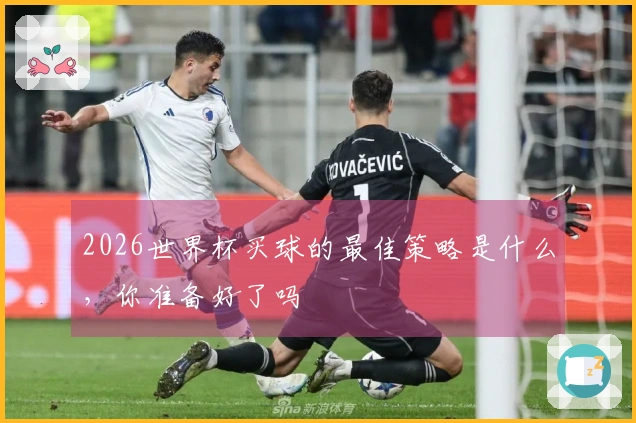 2026世界杯买球的最佳策略是什么，你准备好了吗