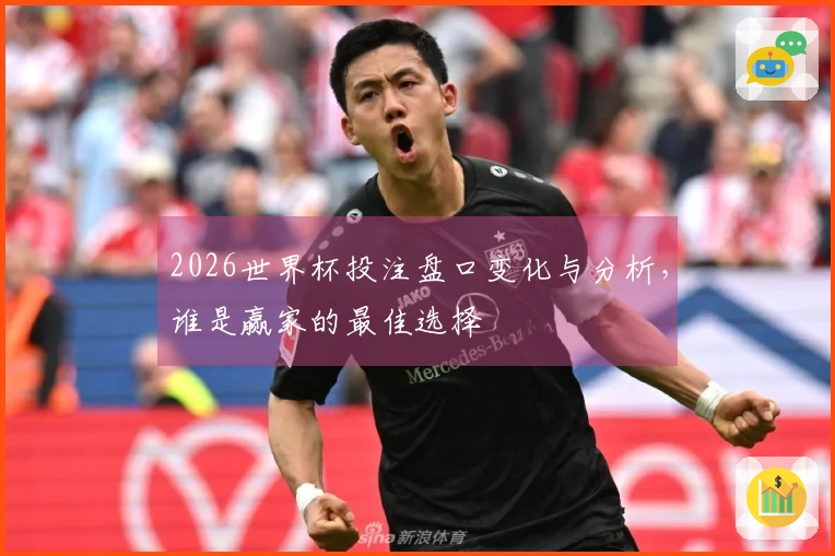 2026世界杯投注盘口变化与分析，谁是赢家的最佳选择
