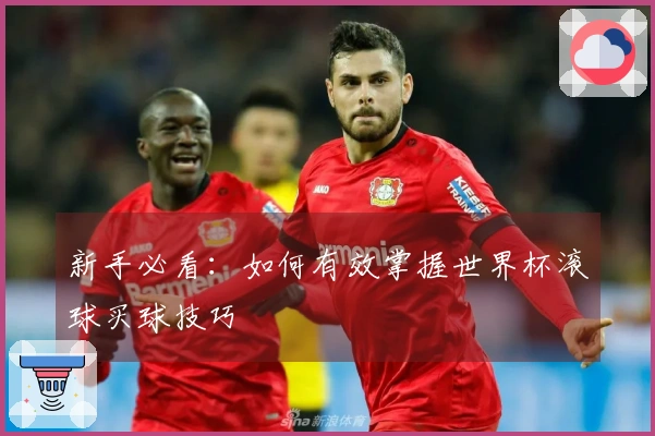 新手必看：如何有效掌握世界杯滚球买球技巧