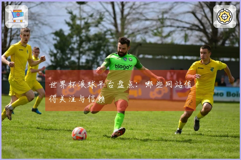 世界杯滚球平台盘点：哪些网站值得关注与信赖