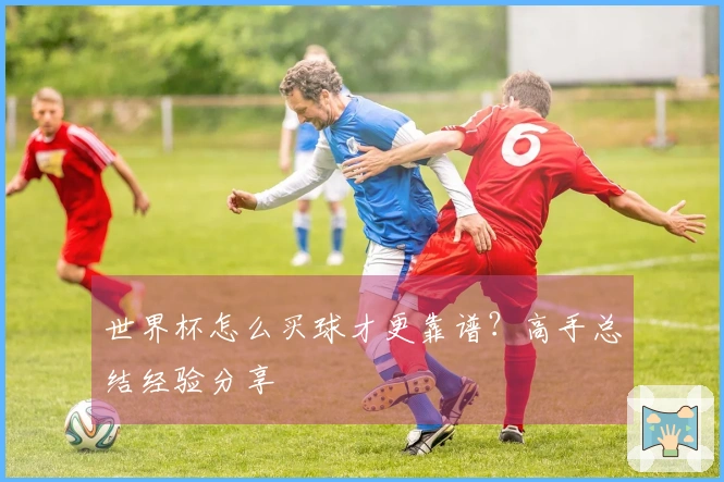 世界杯怎么买球才更靠谱？高手总结经验分享